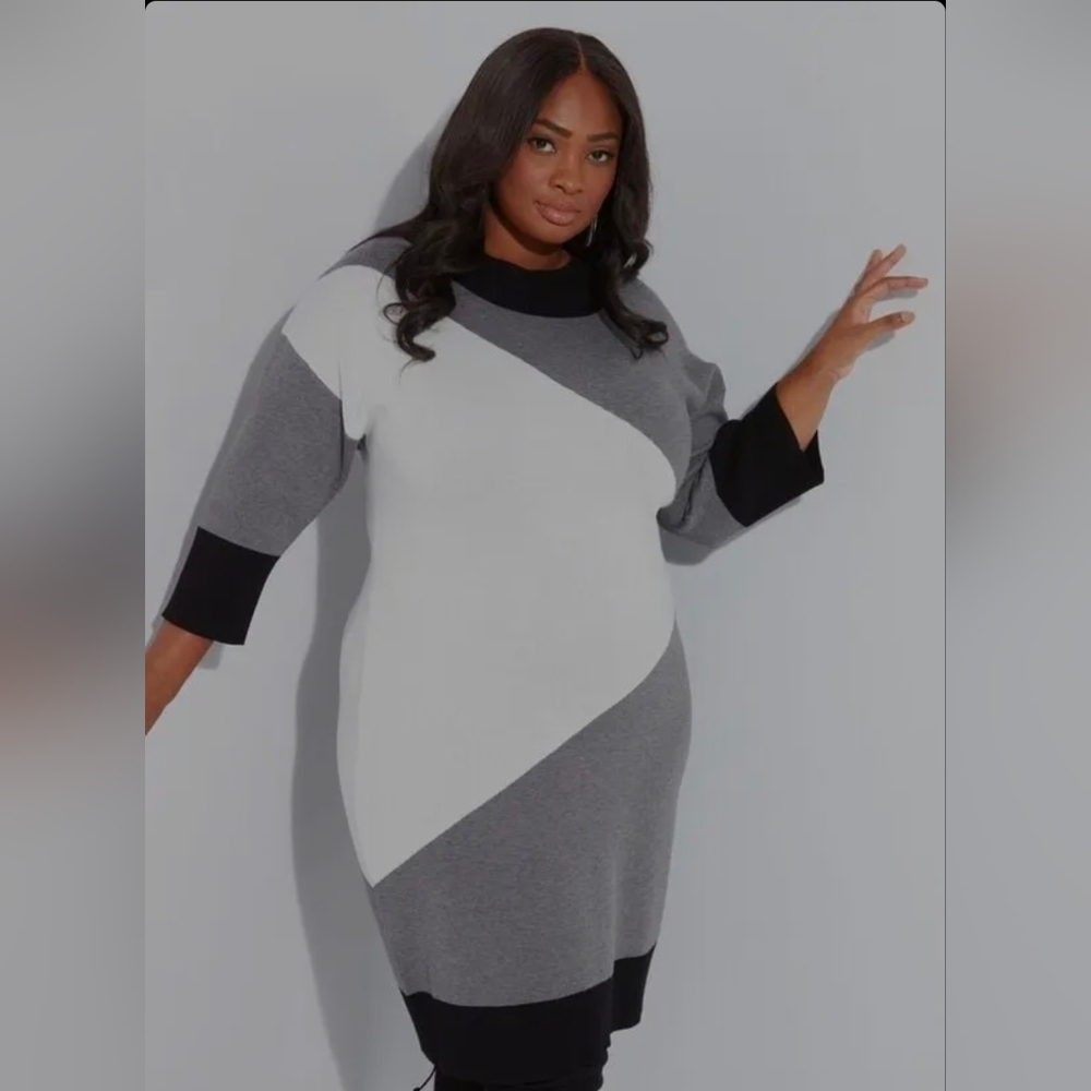 Ashley Stewart Colorblock Sweater Dress